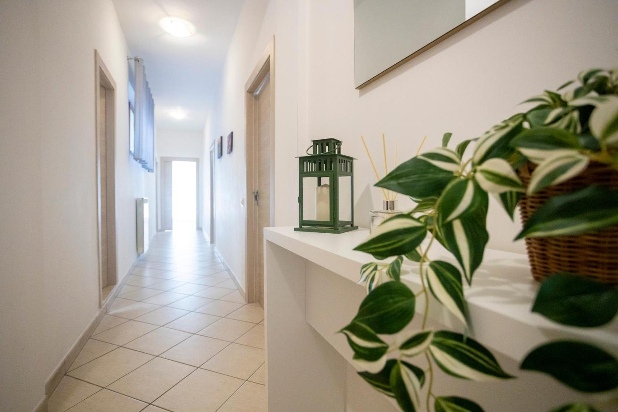 Appartement Casa Mia *
